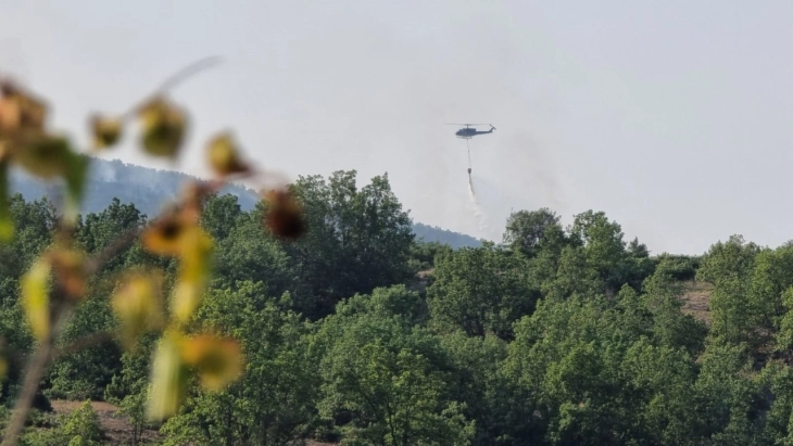 Полицискиот хеликоптер фрли над 45 тони вода врз пожарите на Илинска планина, Беласица и Градманци