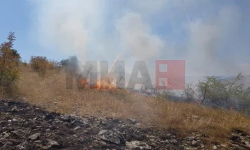 Изгаснат пожарот на дабова шума во липковско Матејче