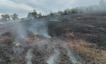 QMK: Gjashtë zjarre aktive, dy janë nën kontroll