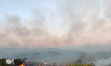 Shtëpi të djegura, qytetarë të evakuuar - situata me zjarrin në pjesën verilindore të Atikës veçanërisht e vështirë