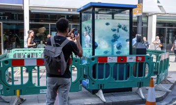 Banksy artwork showing piranhas in a police box moved to keep it safe