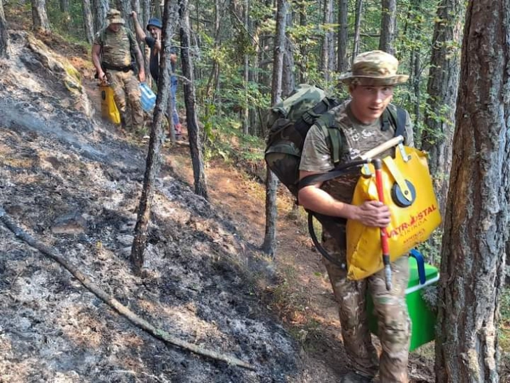 Трет ден се гасне  пожарот на врвот Буковиќ кај Пехчево