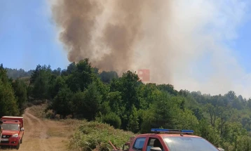 Зафатени 100 хектари со борова и дабова шума во пожар на Осоговските Планини во атарот на кочанското село Пресека