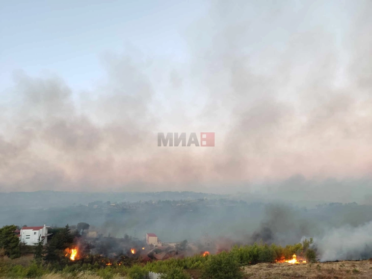 Во последните осум години изгореле 37 отсто од шумите во областа Атика, поширокиот регион на Атина