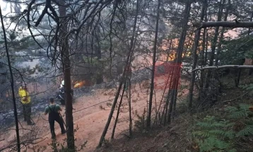 Пожарот во Пехчево се уште активен, се прават крајни напори до вечер да биде ставен под контрола