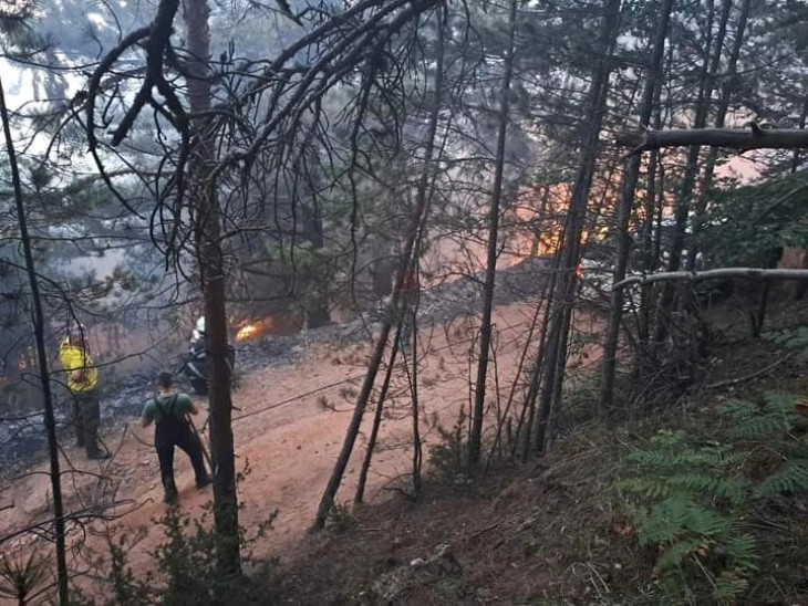 Zjarri në Pehçevë akoma aktiv, po bëhen përpjekje shtesë që deri në mbrëmje të vihet nën kontroll