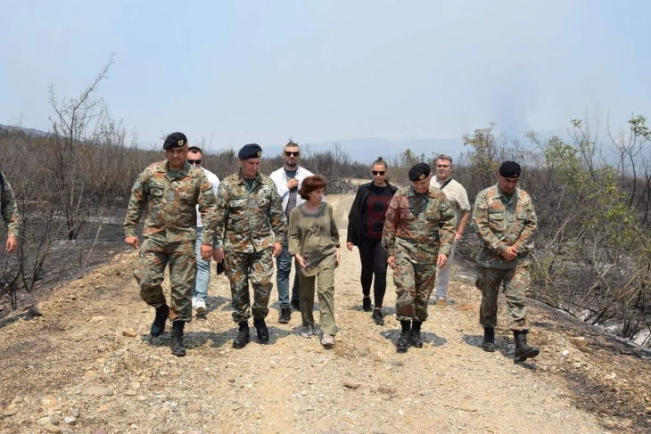 Siljanovska Davkova mori vendim për angazhimin e Armatës në ballafaqimin me gjendjen e krizës nga zjarret