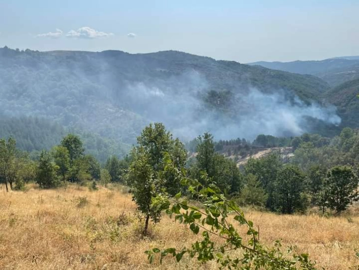 Градоначалниците Атанасовски и Папазов извршија увид во гаснењето на пожарот во с.Цера