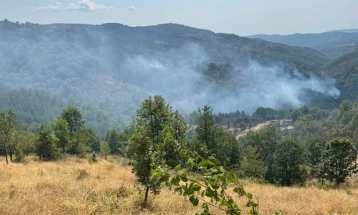 Градоначалниците Атанасовски и Папазов извршија увид во гаснењето на пожарот во с.Цера