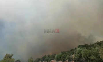 Rrezik i lartë nga zjarret në disa pjesë të Greqisë, ministri kompetent bën thirrje për kujdes