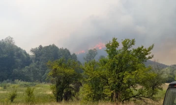 Në shuarjen e zjarrit në malin Mukos nesër do të angazhohen aeroplanë dhe pjesëtarë të Armatës dhe MPB-së