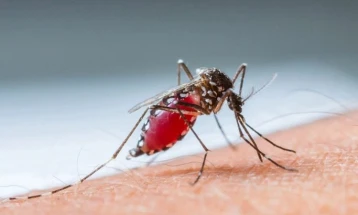 PHI records third West Nile fever case