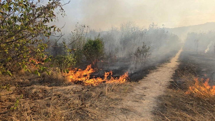 Rasadnik fire extinguished by 15 firefighters with eight fire trucks