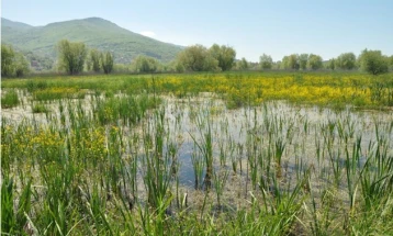 Фронт 21/42: Ја поздравуваме одлуката за повлекување на Предлог законите за Охридско Езеро и Студенчишко Блато