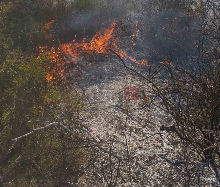 Gjithsej 18 zjarre në ambient të hapur deri në orën 19, nëntë aktive