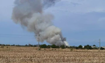 Во Бугарија се урна воен тренажен авион Л-39