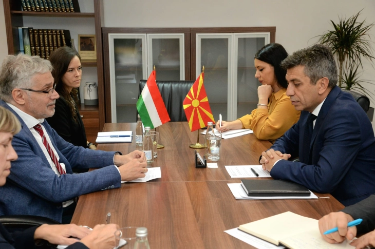 Deputy PM Mexhiti meets Hungarian Ambassador Klein