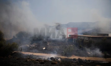 BE-ja bën thirrje për armëpushim të menjëhershëm midis Izraelit dhe Hezbollahut dhe në Gazë