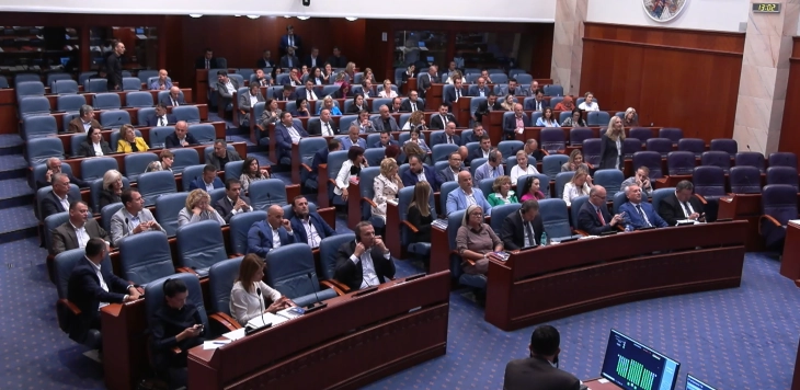 Parliament adopts amendments to Law on Local Self-Government, acting mayors to remain in office until next elections 