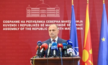 Филипче: Раздвојувањето на Северна Македонија и Албанија е тежок пораз на политиките на Владата