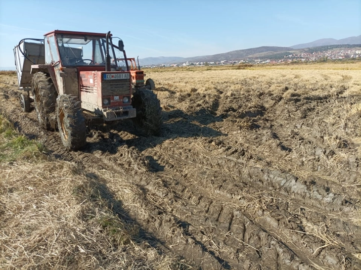 Pas reshjeve, agrometeorologët rekomandojnë punim shtesë të tokës para mbjelljes