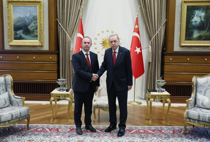 Gashi - Erdogan: Enhancement of North Macedonia-Türkiye cooperation