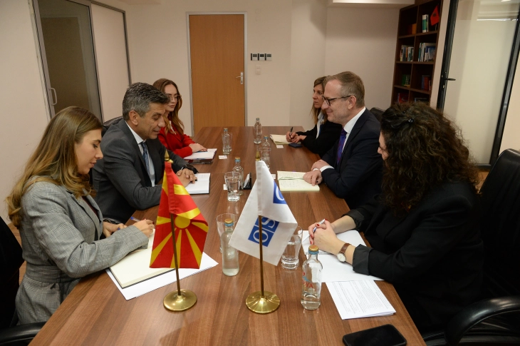 Deputy PM Mexhiti meets OSCE Ambassador Wahl