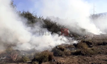 Kallëzim penal kundër një personi për shkaktim të rrezikut për jetën dhe shëndetin e njerëzve - inspektorët e kanë hasur si hedh sasi të mëdha mbeturinash në territorin e Karposhit