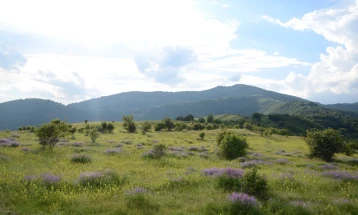 Mot me vranësira të ndryshueshme me kushte për reshje të dobëta lokale