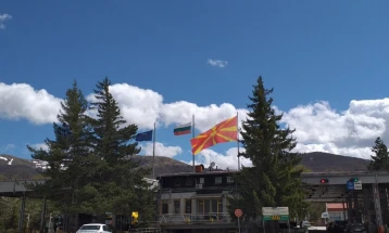 На ГП Деве Баир лишен од слобода турски државјанин, покажал две фалсификувани зелени карти за товарно возило и полуприколка