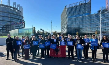 Пратениците на ДП на протест пред ЕП: Целта е да го свртиме вниманието кон Албанија и драматичната ситуација во која се наоѓа