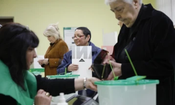 BE-ja kërkon hetim mbi pretendimet për parregullsi të zgjedhjeve në Gjeorgji