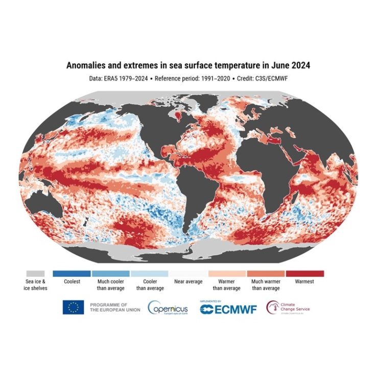 EU scientists: Average 2024 temperatures set to go past 1.5C mark