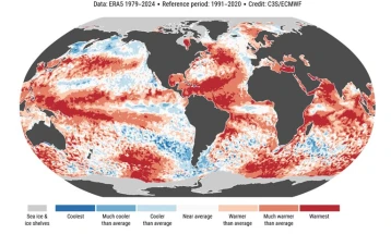 EU scientists: Average 2024 temperatures set to go past 1.5C mark