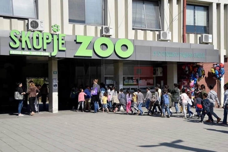 Kopshti Zoologjik në Shkup prej sot sërish i hapur për vizitorët