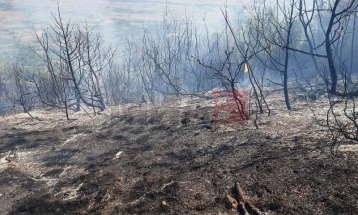 По четири дена изгаснат е пожарот на планината Беласица