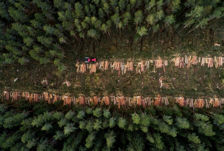 European Parliament votes for delay on anti-deforestation regulation