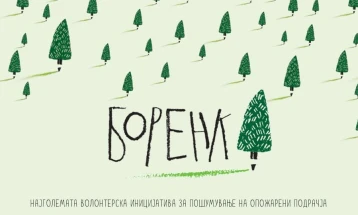 Преку популарната Боренка во с.Будинарци, беровско ќе се реализира најголемото европско волонтерско пошумување на опожарени површини