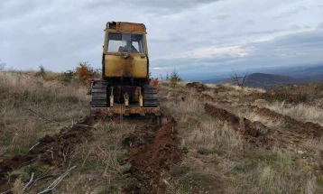 Кумановската подружница на „Национални шуми“ пошумува на површина во атар на село Степанце над Кокино