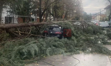 Era e fortë ka shkulur pemë, degë dhe një shtyllë në Kumanovë