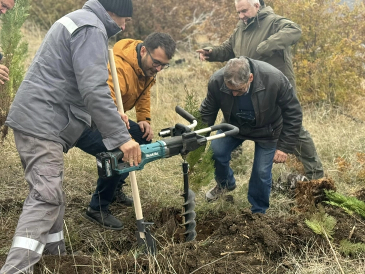 Засадени 40 илјади садници во Општина Ѓорче Петров