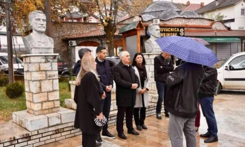 Во Дебар одбележан Денот на албанската азбука