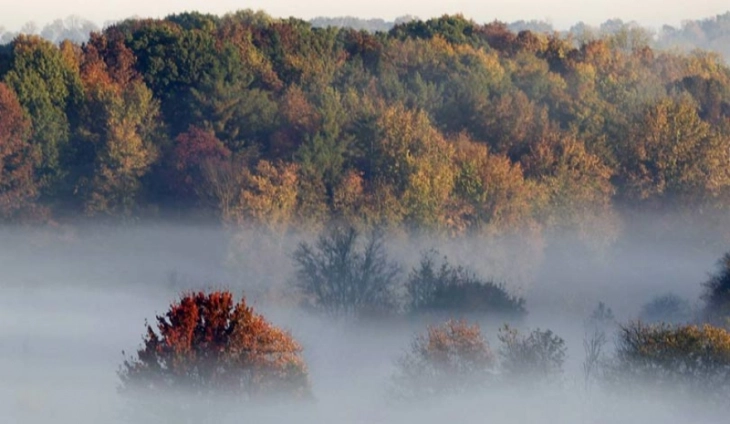 Weather: Morning fog in valleys, mostly sunny later; high 15°C