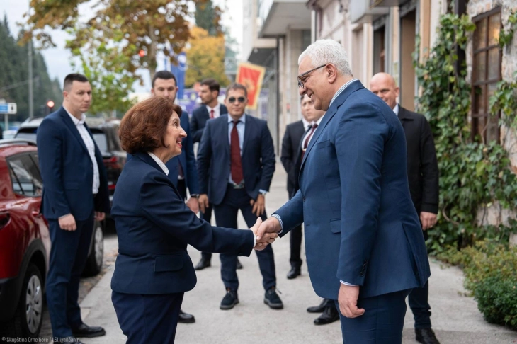 Siljanovska Davkova meets with Montenegro's Parliament Speaker Mandic