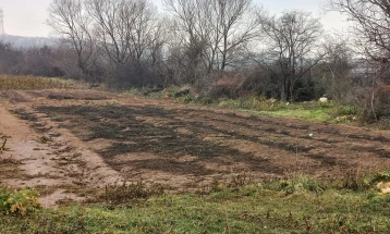 Есенската сеидба во Пелагонија во завршна фаза