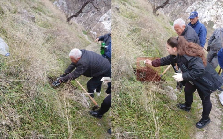 Во еколошка акција во Велес засадени 50 садници со јасен