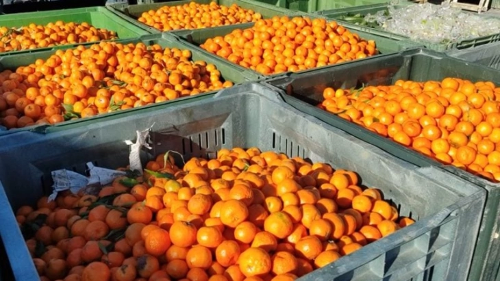 Shqipëria shkatërroi mbi 60 ton mandarina të kthyera nga vendet anëtare të BE-së, për shkak të nivelit të lartë të pesticideve