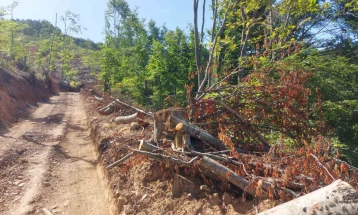 Дрвокрадци нападнале шумски полицајци во Велес