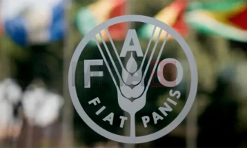 FAO: Në dhjetor çmimet e ushqimit u ulën,  më shumë u lirua sheqeri