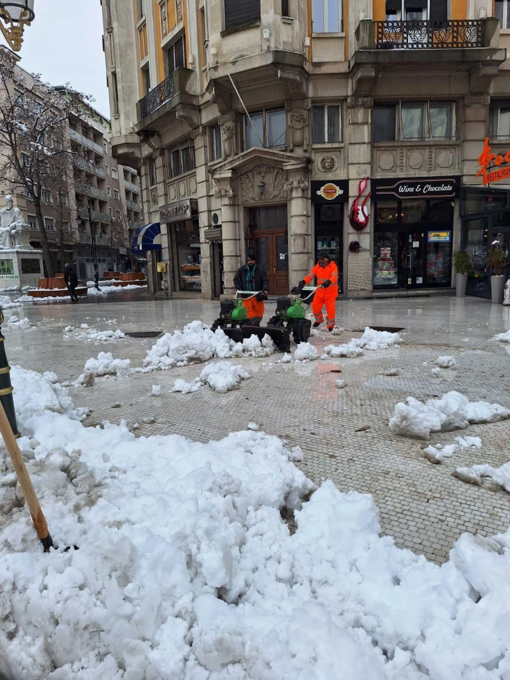 NP “Higjiena Komunale”: Po pastrohet bora në të gjitha komunat e Shkupit, largohen disa deponi të egra